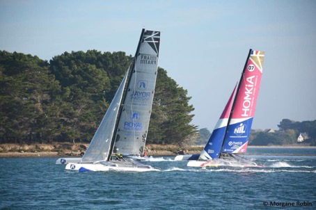 D24od White Sails Warrior Wins Catagolfe